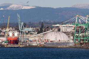 Businesses discourage face-to-face time, do extra cleaning