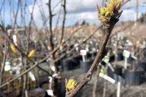 In the world stressing you out? Escape to the garden