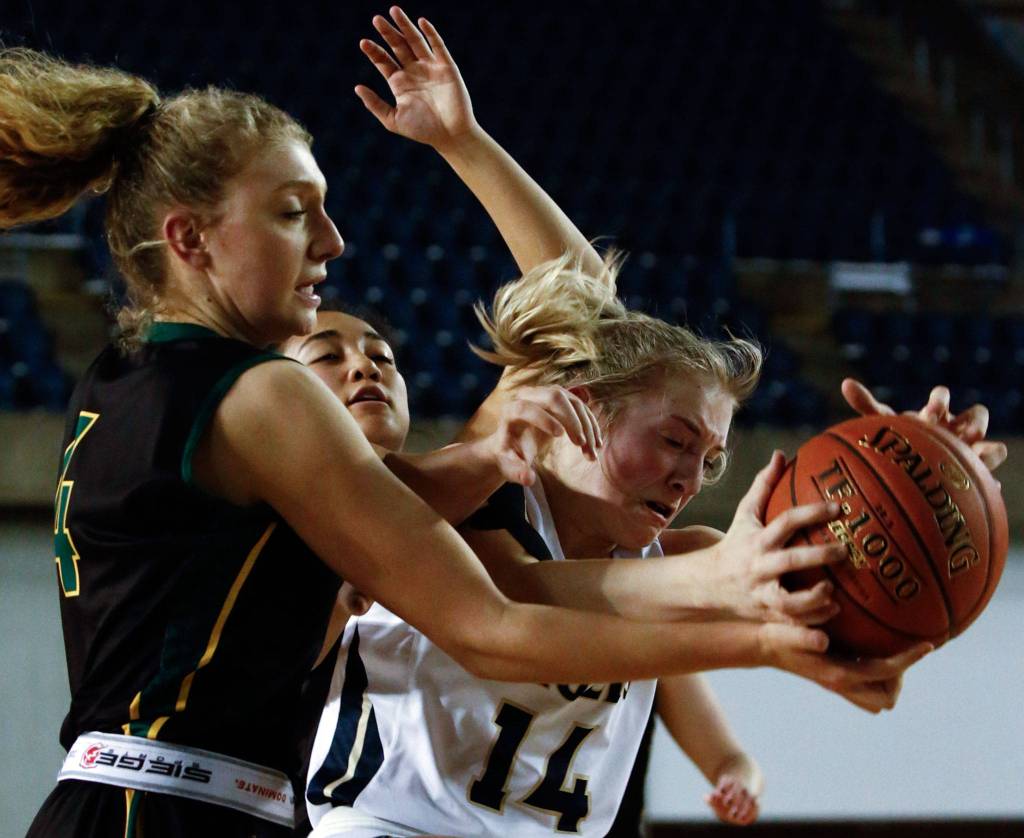 Arlington defeated Shorecrest, 50-49, to advance to the semifinalsThursday evening at the Tacoma Dome on March 5, 2020. (Kevin Clark / The Herald)