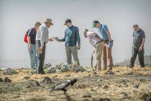 Report from Ethiopia expected this week in Boeing Max crash