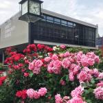 Everett Community College is offering most of classes online through the spring quarter because of concerns over the new coronavirus and its disease, COVID-19. (Sue Misao / The Herald)