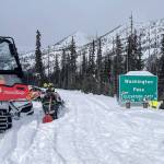Mazama the Avalanche Rescue Goat poses near the Washington Pass sign along SR 20 where more than 8 feet of snow was measured just off the road March 10. (Washington State Department of Transportation)