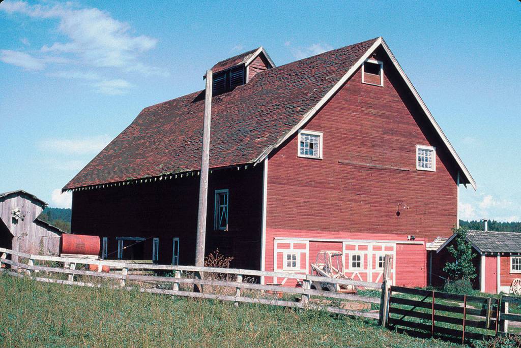 Sam Jostads barn was built around 1910. All of the barns featured here are still standing. (Gerald Magelssen)
