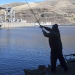 Editorial: Extend opportunity to comment on Snake River dams