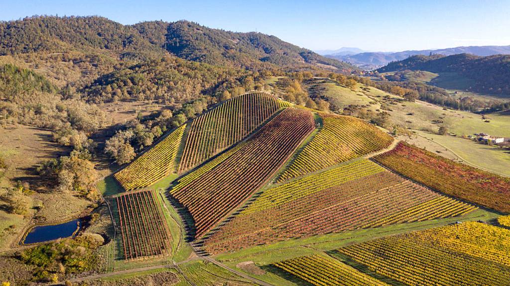 Cobblestone Hill serves as the centerpiece of the 76 acres planted by the Jones family and is reflected on the label of their Abacela wines. (Andréa Johnson Photography)