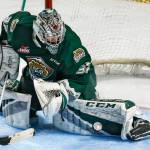 Everett goaltender Dustin Wolf stops a shot during a WHL game against the Seattle Thunderbirds on March 8 at ShoWare Center in Kent. (Kevin Clark/The Herald)