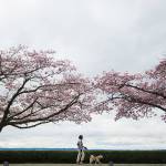 Staying home without gyms means we should all tour the ’hood