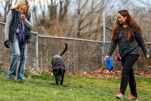 Editorial: Yes, COVID-19 is closing the gates on parks