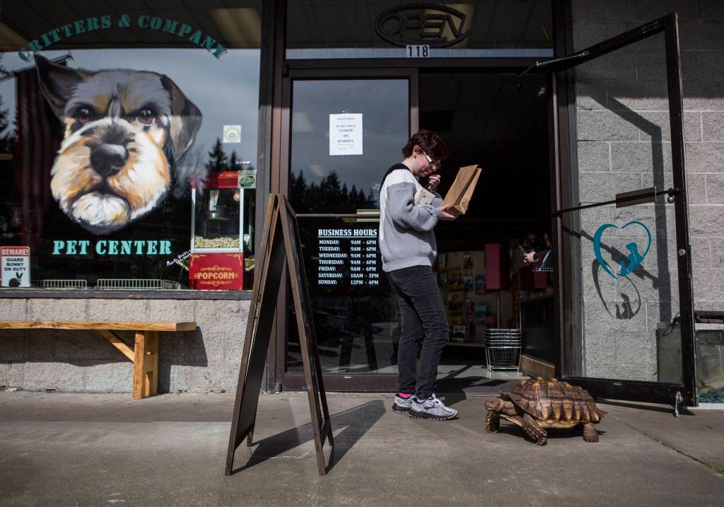 People watch as Raja passes by outside of Critters & Company Pet Center at Kens Korner shopping plaza in Clinton. (Olivia Vanni / The Herald)