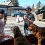 Rodger Pestana carries out an order at Vicks Burger Shack in Sultan. He says business is booming during the shutdown. (Kevin Clark / The Herald)