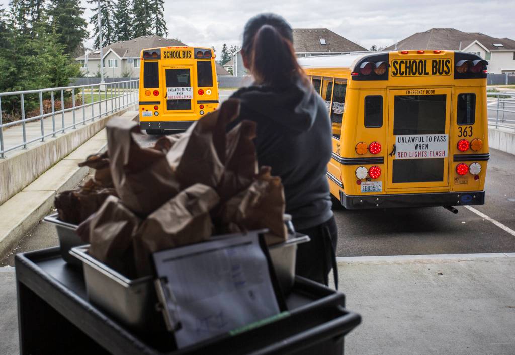 School buses begin arriving to pick up meals on March 12 in Bothell. (Olivia Vanni / The Herald)