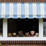 Bear hunts and encouraging words are signs of COVID-19 times