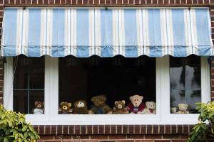 Bear hunts and encouraging words are signs of COVID-19 times