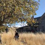 10 pioneer-era apple types thought extinct found in US West