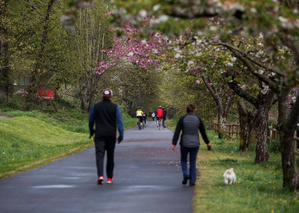 People walk and bike along the Centennial Trail on Saturday in Snohomish. (Olivia Vanni / The Herald)