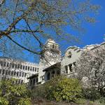 Snohomish County extends development approval deadlines