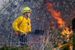 Major brush fire burns 40 acres near Arlington