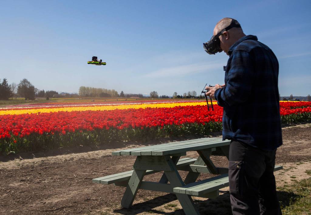 Dan Casmare flies his drone over the tulip fields at Tulip Town on April 13. He is filming content for the virtual reality app the business plans on launching for people to experience the tulip bloom. (Olivia Vanni / The Herald)