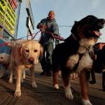 Golfing and hiking return but a hair cut is out until June