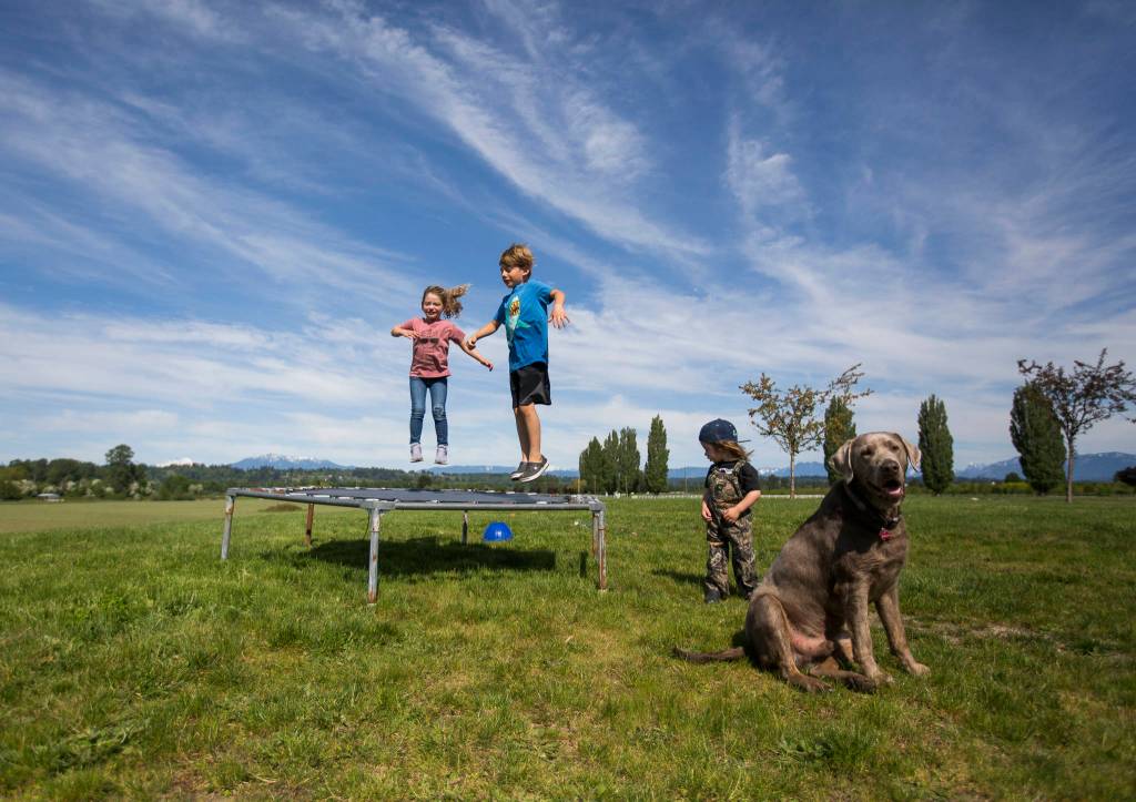 River (left) and Jameson Train jump on their trampoline in what is normally the spot where a bride poses for photos on their Pemberton Farm property in Snohomish. (Olivia Vanni / The Herald)