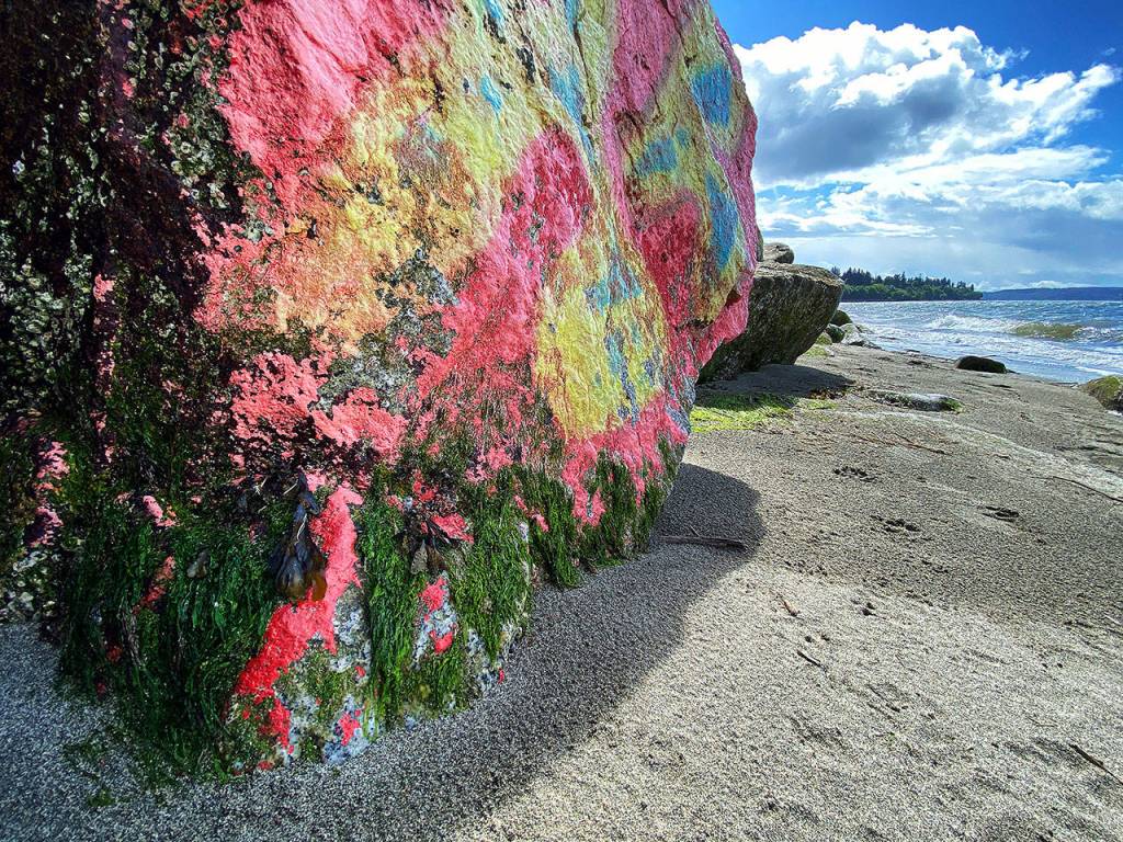 A painted rock at Howarth Park. (Sue Misao / The Herald)
