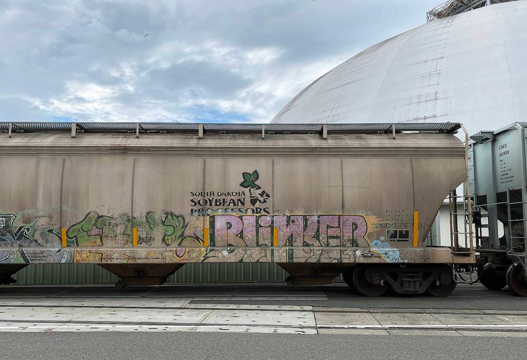 The dome on the right is probably not full of soybeans. (Sue Misao / The Herald)
