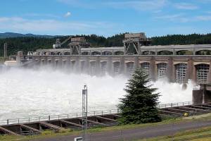 Dam operators must make water temp cold enough for salmon