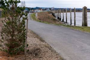 Ebey Waterfront Trail to close for 2 days