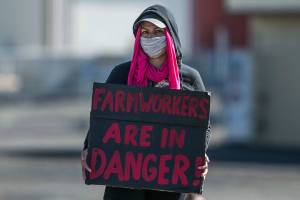 Yakima-area fruit workers in talks with employers