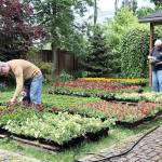 Everett will still bloom as helpers take on flower program