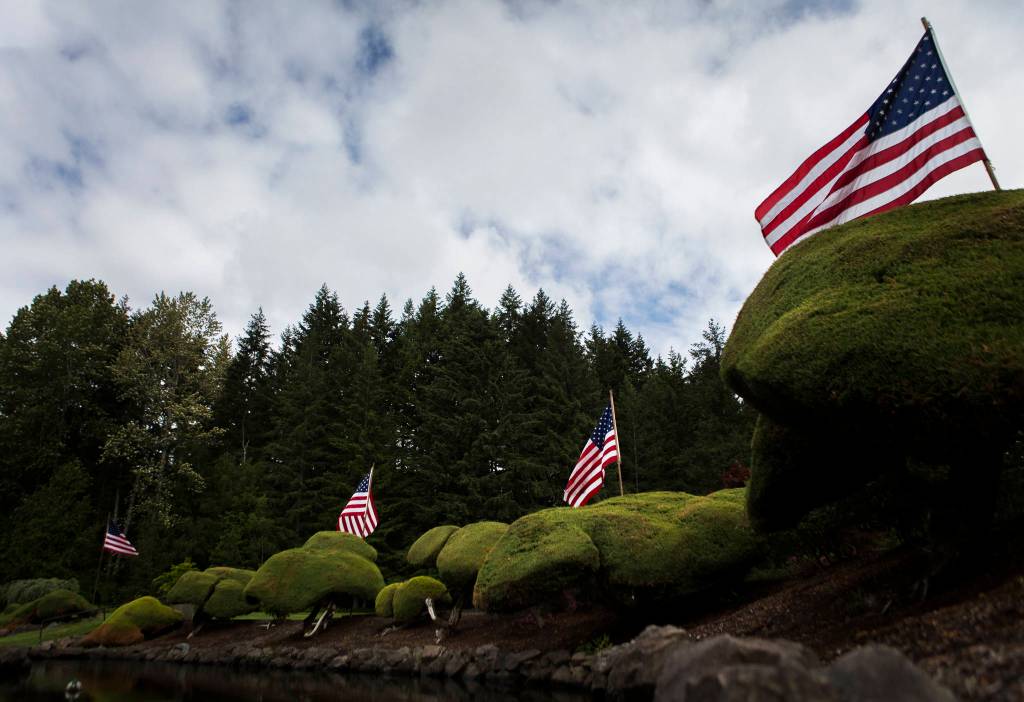 American flags surround the Floral Hills Cemetery Azalea Fountain in Lynnwood. (Olivia Vanni / The Herald)