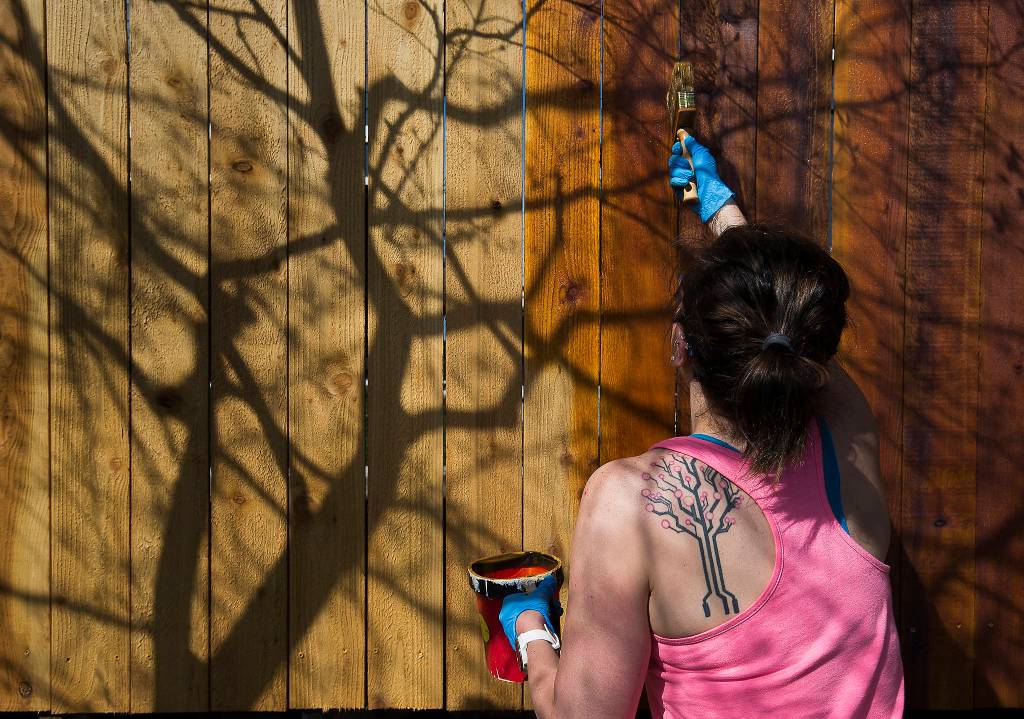 With more time away from work, Megan Evans stains a fence in Everett. (Andy Bronson / The Herald)