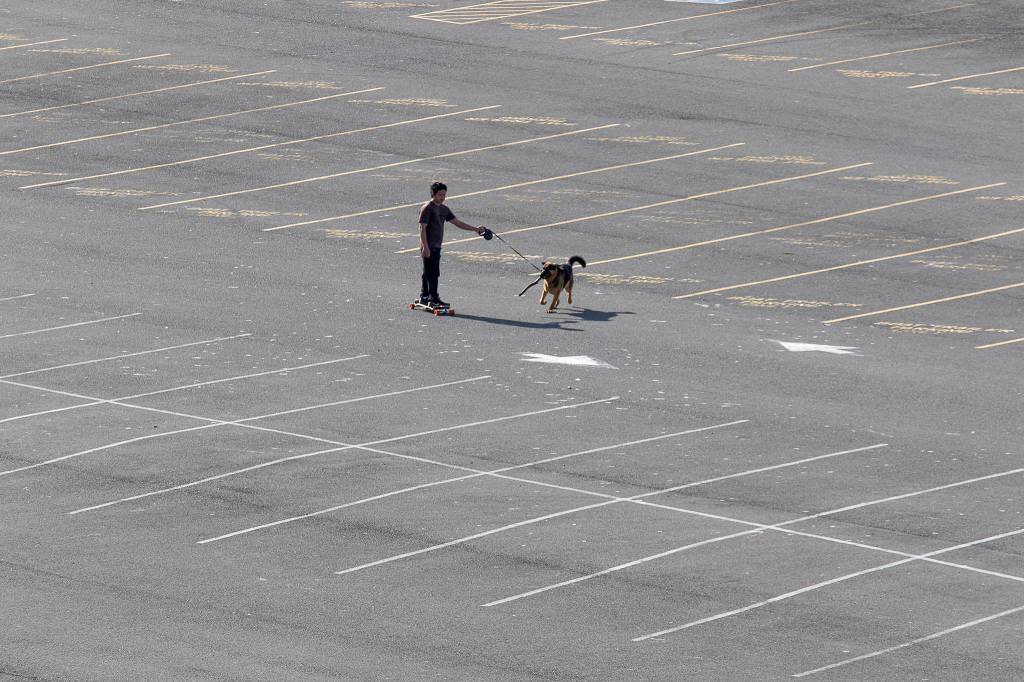 A boy and a dog cross an empty parking lot at Lighthouse Park in Mukilteo. (Andy Bronson / The Herald)