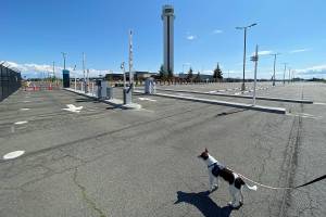 Small business relief effort inundated with 850 applications