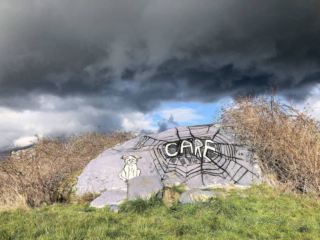 Laurie Olsen took a photo of the Charlottes Web-themed mural she painted on a rock near Dutch Hill Elementary School that has been a colorfully decorated Snohomish icon for years. Olsen changed the mural several times to say We Can and Hope.