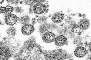 Fourth child in Washington has coronavirus-related illness