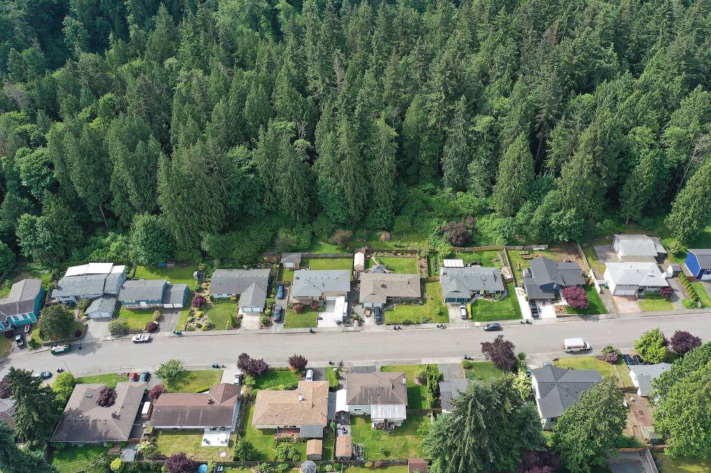 The Valley View neighborhood of Everett abuts the Wood Creek drainage, which city officials are proposing to sell for possible partial development. (Chuck Taylor / The Herald)