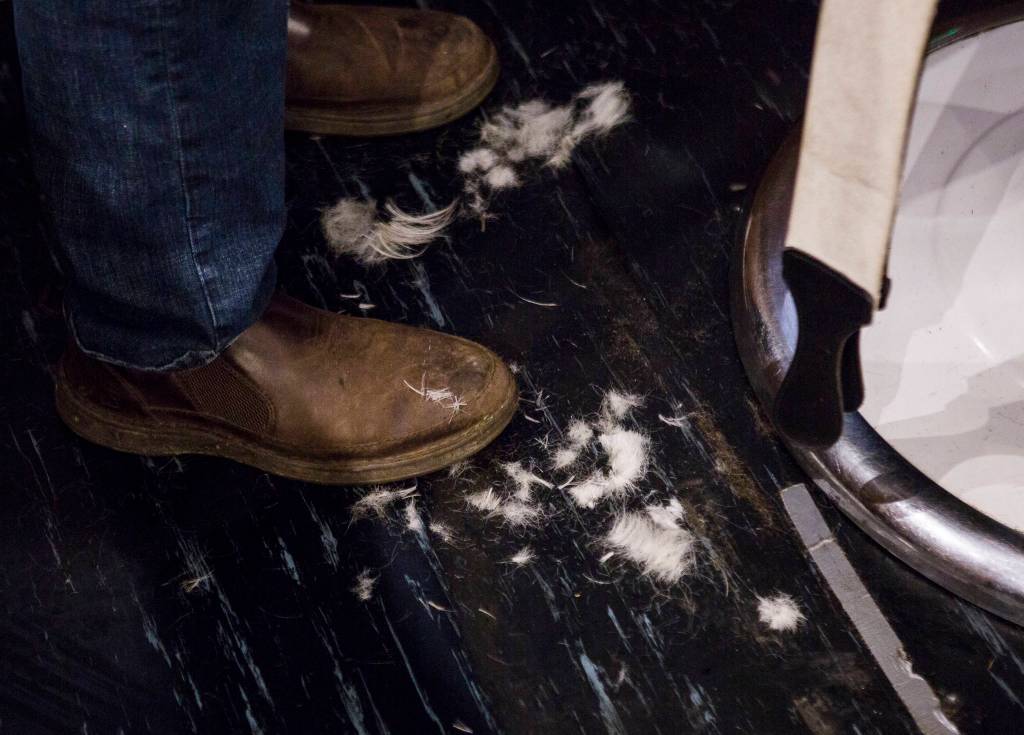Clumps of white hair fall onto the ground as Bob DeFrang gets a haircut Saturday in Lake Stevens. (Olivia Vanni / The Herald)