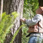 Tree planting provides a steady supply of wood for everything from home construction to products made from the residual fiber, like paper towels and face masks. Together, working forests support more than 101,000 workers.
