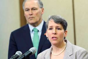 State auditor to probe causes of massive jobless claims fraud