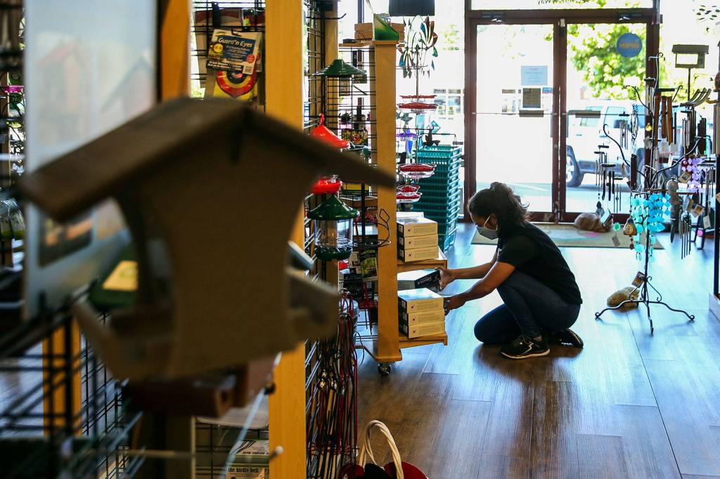 Chanel Ridiros stocks shelves Thursday afternoon at Wild Birds Unlimited in Everett. (Kevin Clark / The Herald)