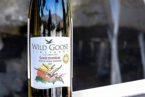 Wild Goose in British Columbia tops Cascadia judging again