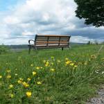 An empty bench at Everetts Legion Memorial Park is a sign of the times, as people practice social distancing during the COVID-19 pandemic. (Julie Muhlstein photo)
