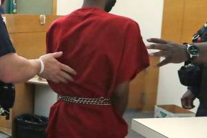 Driver who hit protesters on I-5 charged with 3 felonies
