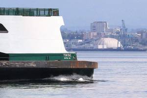 Humpback whale hit by Mukilteo ferry, Chip, is presumed dead