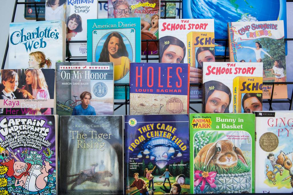 A selection of some of the Lions Club books available on Tuesday in Tulalip. (Olivia Vanni / The Herald)