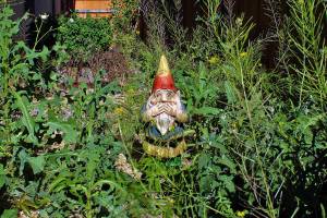 Most of our weed issues are self-inflicted because of poor timing  aka neglect. Its the No. 1 failure of gardeners. (Getty Images)