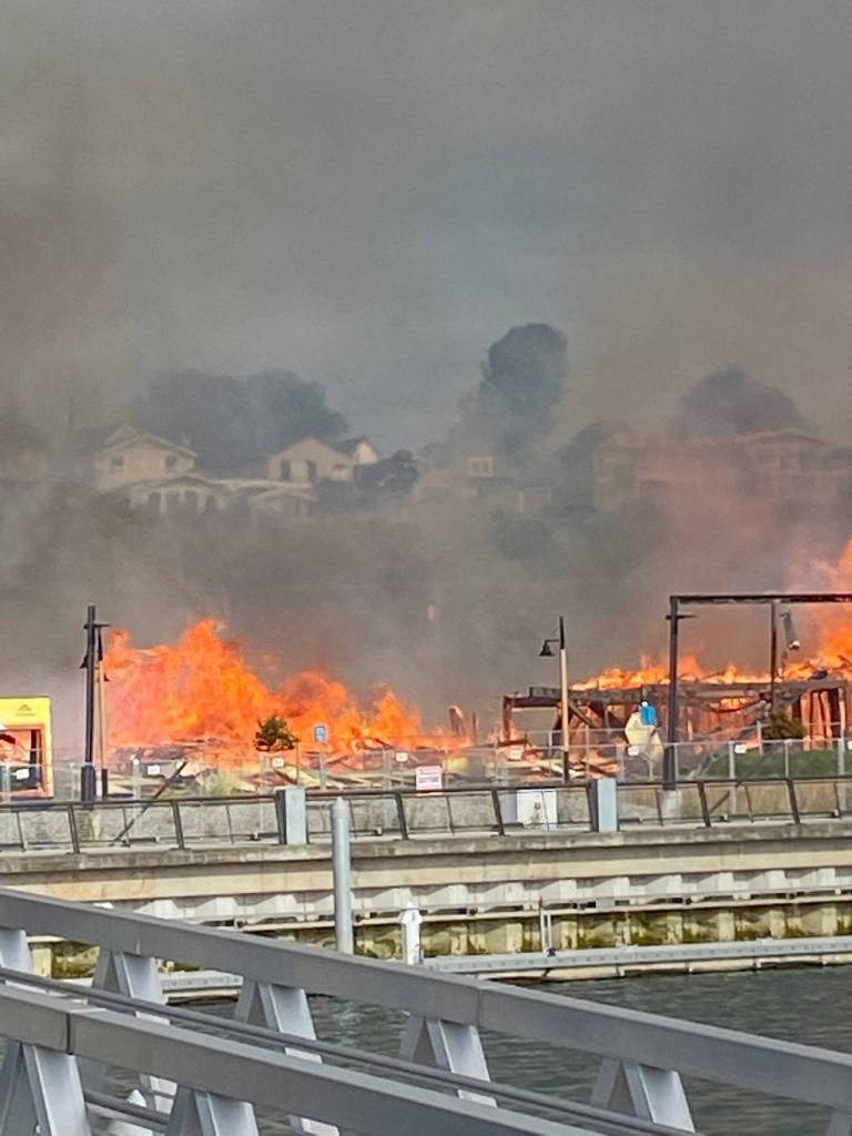 Courtesy of Suzanne McQuen