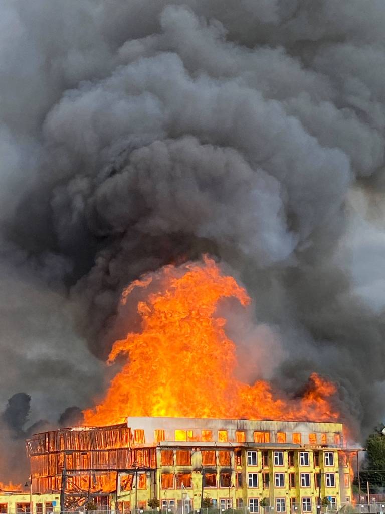 Courtesy of Suzanne McQuen