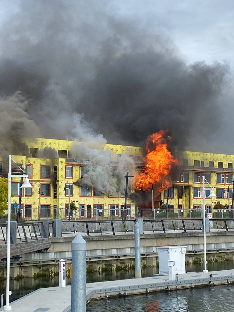 Courtesy of Suzanne McQuen